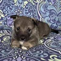 processed/0ecc711e-141d-494d-84fb-11d31f8960e2/listing/52f6d76c-74a6-4f4f-81b9-461bdde7c1ab/aeaf5798-c318-4de9-9126-15f74fc2aecf