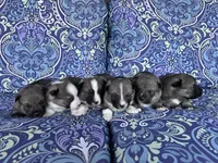 processed/0ecc711e-141d-494d-84fb-11d31f8960e2/listing/a7110aa4-ca23-4fcf-8f43-13fcbb4057d6/006fcc33-2d57-4698-beb9-205f27333caf