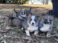 processed/0ecc711e-141d-494d-84fb-11d31f8960e2/listing/a7110aa4-ca23-4fcf-8f43-13fcbb4057d6/522a1ac2-ea46-4ed5-8d7b-3862e923ef1d