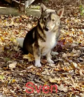 processed/0ecc711e-141d-494d-84fb-11d31f8960e2/listing/a7110aa4-ca23-4fcf-8f43-13fcbb4057d6/62d2b3ab-34ec-4c8e-90b7-e914edd48fe7