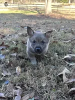 processed/0ecc711e-141d-494d-84fb-11d31f8960e2/listing/a7110aa4-ca23-4fcf-8f43-13fcbb4057d6/af27f4c5-0b6f-4db3-8f32-62e2b5a0eeda