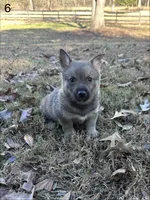 processed/0ecc711e-141d-494d-84fb-11d31f8960e2/listing/a7110aa4-ca23-4fcf-8f43-13fcbb4057d6/b6e9af53-66d1-489d-8254-bba74538b9d0