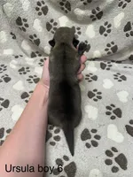 processed/0ecc711e-141d-494d-84fb-11d31f8960e2/listing/a7110aa4-ca23-4fcf-8f43-13fcbb4057d6/f6184d02-ebd5-4ece-8c1d-fedfcf294e07