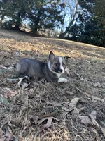 processed/0ecc711e-141d-494d-84fb-11d31f8960e2/listing/ba4e761a-f07b-4fa9-9990-deaae5f6f83a/0d329761-f951-4241-ade5-a7aed5a294e6