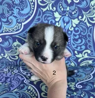 processed/0ecc711e-141d-494d-84fb-11d31f8960e2/listing/ba4e761a-f07b-4fa9-9990-deaae5f6f83a/3823c7db-c213-46cf-ad3f-46ae5e8411c1