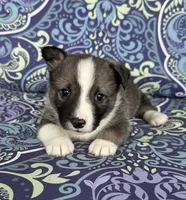 processed/0ecc711e-141d-494d-84fb-11d31f8960e2/listing/ba4e761a-f07b-4fa9-9990-deaae5f6f83a/60734df4-d637-4458-bf69-090c21fc8223