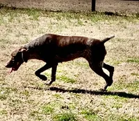 processed/0ecc711e-141d-494d-84fb-11d31f8960e2/listing/e1cac217-6b69-4b53-88ce-c3a91eb9149f/5483f8ff-2ee2-4087-a9fd-14280c03a161