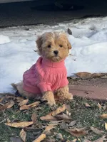 processed/0ed45a60-a080-49cd-b809-eacdb4e17e0b/listing/d108fa0b-5c37-4af0-bc01-eedee4c10df6/03f6c130-be84-4bb1-8686-db7e60fc8fa2