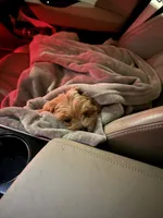 processed/0ed45a60-a080-49cd-b809-eacdb4e17e0b/listing/d108fa0b-5c37-4af0-bc01-eedee4c10df6/1a5d75e1-4d8f-4b13-86c4-7c41e827313d