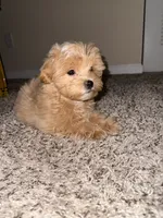 processed/0ed45a60-a080-49cd-b809-eacdb4e17e0b/listing/d108fa0b-5c37-4af0-bc01-eedee4c10df6/ca57b35f-45a7-4aeb-a8a8-9e7a6c71323f