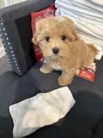 processed/0ed45a60-a080-49cd-b809-eacdb4e17e0b/listing/d108fa0b-5c37-4af0-bc01-eedee4c10df6/ce79c107-2628-40c0-8331-66b21476ad07