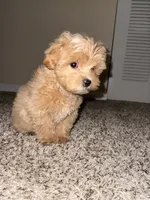 processed/0ed45a60-a080-49cd-b809-eacdb4e17e0b/listing/d108fa0b-5c37-4af0-bc01-eedee4c10df6/d163c542-7652-4ae2-83f1-0d6b893c963a