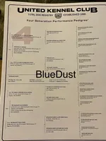 Texas Bluetick B male, a male Bluetick Coonhound for sale in Fort Worth, TX – Photo 8 of 8