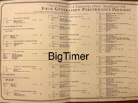 Texas Bluetick B male, a male Bluetick Coonhound for sale in Fort Worth, TX – Photo 5 of 8