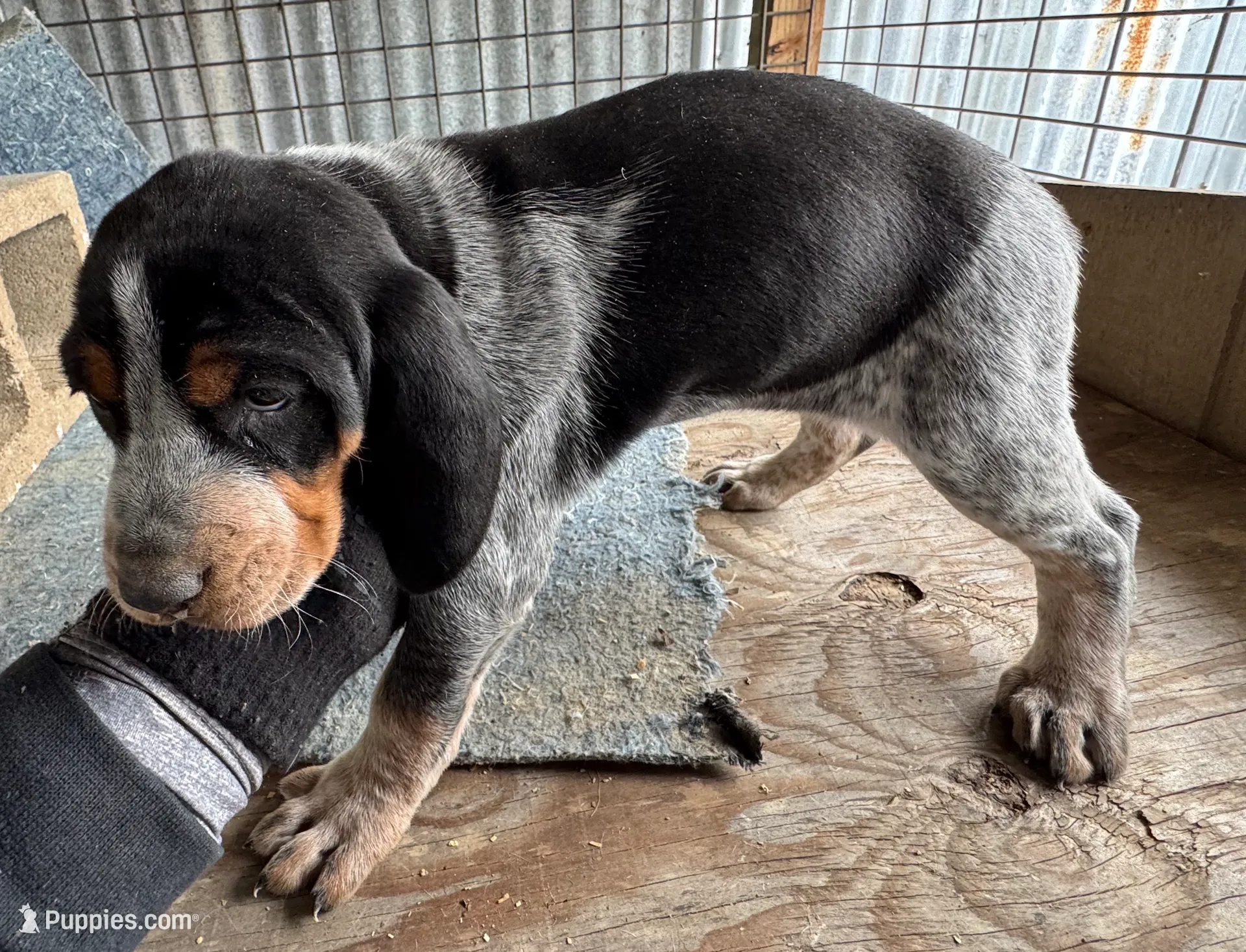 processed/0ee0a6e4-e04d-463d-ac01-1b27404ecd22/listing/4d5434ba-c1a6-47d4-bd88-42fa893607eb/105d14a7-8c60-4d71-949e-4b041accca1f