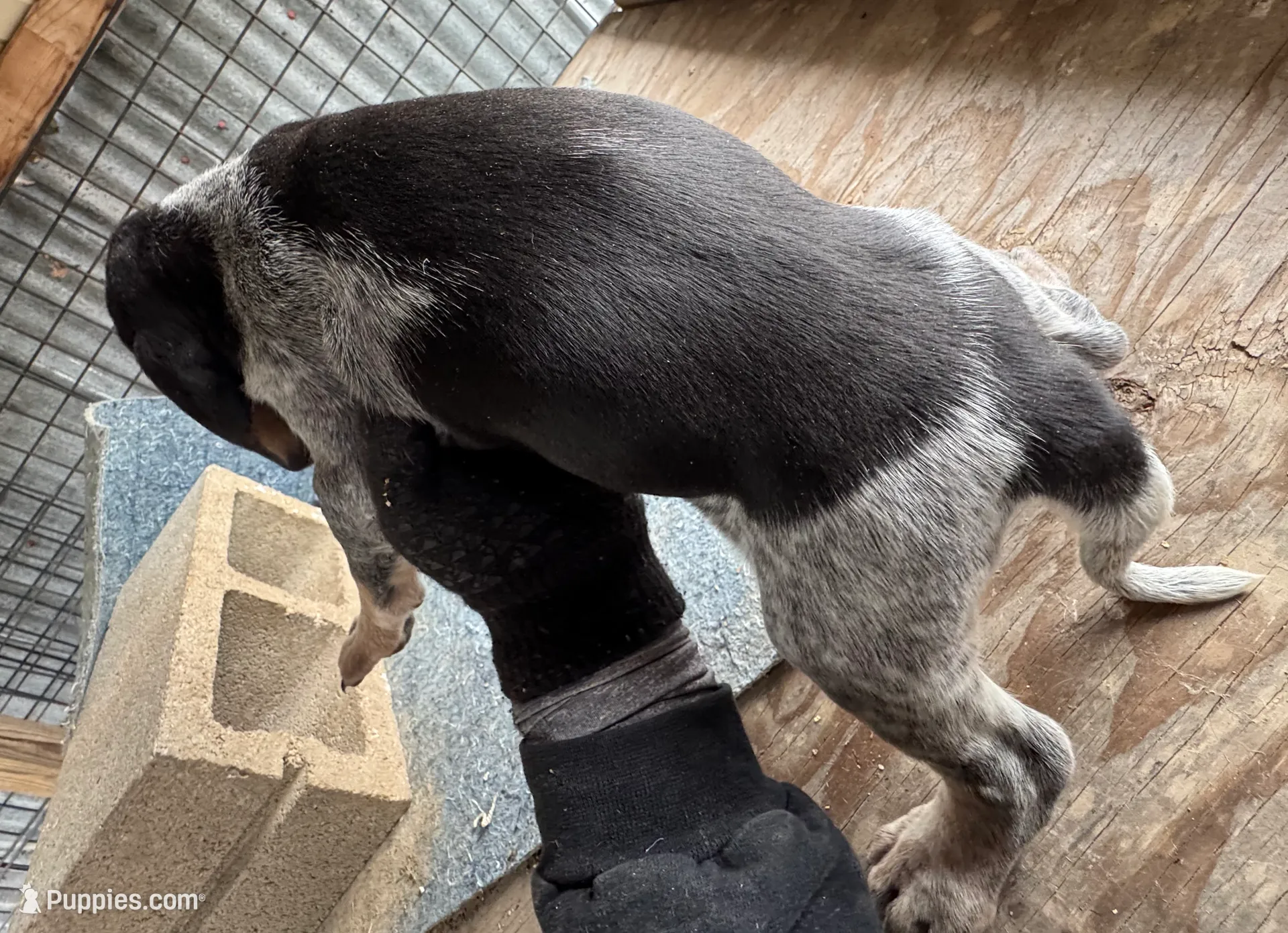 processed/0ee0a6e4-e04d-463d-ac01-1b27404ecd22/listing/4d5434ba-c1a6-47d4-bd88-42fa893607eb/2f94b0cf-60f0-4ff1-bc3f-3c404f7ebefb