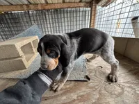 processed/0ee0a6e4-e04d-463d-ac01-1b27404ecd22/listing/4d5434ba-c1a6-47d4-bd88-42fa893607eb/3ef5efe6-63ca-4eaa-a542-4db787ce52a9