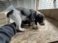 processed/0ee0a6e4-e04d-463d-ac01-1b27404ecd22/listing/4d5434ba-c1a6-47d4-bd88-42fa893607eb/90dfe948-6f9b-4d30-8612-e2d68f3ac40c