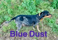 processed/0ee0a6e4-e04d-463d-ac01-1b27404ecd22/listing/4d5434ba-c1a6-47d4-bd88-42fa893607eb/bd9caa81-ed76-4183-89b3-1c6700b8ae0b