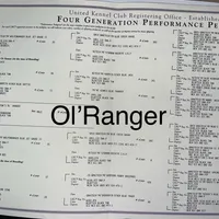 texas Blueticks 1 , a male Bluetick Coonhound for sale in Fort Worth, TX – Photo 7 of 8