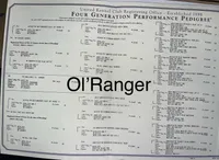 texas Blueticks 1 , a male Bluetick Coonhound for sale in Fort Worth, TX – Photo 4 of 5