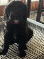 processed/0eeaf621-1a7f-481b-831d-3c64277aab88/listing/d76b7b85-e0d5-4079-85d7-14412fca3b9a/72a196eb-fea7-432a-80ab-3778dc66a850