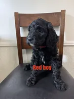 processed/0eeaf621-1a7f-481b-831d-3c64277aab88/listing/d76b7b85-e0d5-4079-85d7-14412fca3b9a/d5de931f-12e5-4324-8709-b2df05a54356