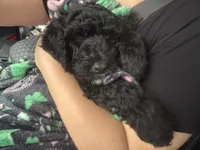 processed/0eeaf621-1a7f-481b-831d-3c64277aab88/listing/e4f9e9b1-750d-4136-8d68-3b0853885359/5a62ea0e-0b68-45e1-9d09-b653f4e52238