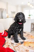 processed/0eeaf621-1a7f-481b-831d-3c64277aab88/listing/e4f9e9b1-750d-4136-8d68-3b0853885359/8059145e-5798-4333-b09f-eb3f89313c93