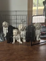 processed/0eeaf621-1a7f-481b-831d-3c64277aab88/listing/e4f9e9b1-750d-4136-8d68-3b0853885359/c8f5504f-c79a-42fd-81b2-3954e723cf32