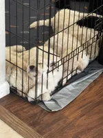 processed/0eeaf621-1a7f-481b-831d-3c64277aab88/listing/ea2c4e8c-1a84-4422-8e60-7a8821cbb362/6a54971a-3a82-4484-9fdb-fd05513eee64