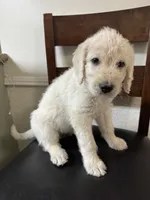 processed/0eeaf621-1a7f-481b-831d-3c64277aab88/listing/ea2c4e8c-1a84-4422-8e60-7a8821cbb362/71677c0f-a18f-4205-940f-108dacba6a52