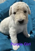 processed/0eeaf621-1a7f-481b-831d-3c64277aab88/listing/ea2c4e8c-1a84-4422-8e60-7a8821cbb362/c6dd6467-284f-41ef-b925-5fe41198edcf