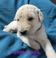 processed/0eeaf621-1a7f-481b-831d-3c64277aab88/listing/ea2c4e8c-1a84-4422-8e60-7a8821cbb362/df89bf72-034d-4cc6-8632-2734e8fcbc18