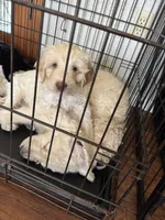 processed/0eeaf621-1a7f-481b-831d-3c64277aab88/listing/f555470f-5963-4ca7-9661-5f97a27a9804/5a40ae7f-6206-4a60-938e-a2559e0815ea