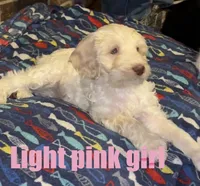 processed/0eeaf621-1a7f-481b-831d-3c64277aab88/listing/f555470f-5963-4ca7-9661-5f97a27a9804/b7ef663f-21c6-4d93-acae-4ed076d5070a