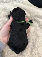 processed/0eec4b90-9997-4348-8b81-82de994aab9e/listing/69573079-68d6-4391-8f00-3100902be7d3/5db7a73b-8c29-46ac-b90e-9018bf0ab6ef