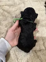 processed/0eec4b90-9997-4348-8b81-82de994aab9e/listing/69573079-68d6-4391-8f00-3100902be7d3/a2674a76-482c-4752-a4a6-9c1ef119825f