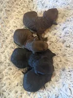 processed/0eec4b90-9997-4348-8b81-82de994aab9e/listing/69573079-68d6-4391-8f00-3100902be7d3/bf9e3a72-ce32-49af-9e40-be7445c74e29