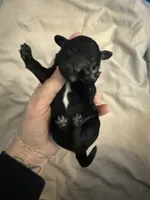 processed/0eec4b90-9997-4348-8b81-82de994aab9e/listing/69573079-68d6-4391-8f00-3100902be7d3/e5bf1026-74cb-42ee-ab6d-90584cf045d5