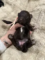 processed/0eec4b90-9997-4348-8b81-82de994aab9e/listing/c3b5bc34-058c-4c72-963b-5e3d2c180d1a/3ea32041-5d06-4730-b224-fef0ad4d08d5