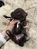 processed/0eec4b90-9997-4348-8b81-82de994aab9e/listing/c3b5bc34-058c-4c72-963b-5e3d2c180d1a/9fd987f8-aba1-4dcc-b785-c7ef48a49ca7