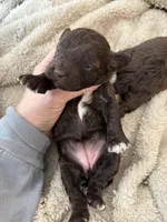 processed/0eec4b90-9997-4348-8b81-82de994aab9e/listing/c3b5bc34-058c-4c72-963b-5e3d2c180d1a/aab7a3d4-15bc-4639-bbc4-051f0b45d917