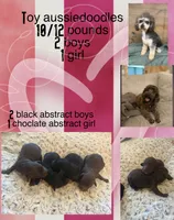 processed/0eec4b90-9997-4348-8b81-82de994aab9e/listing/c3b5bc34-058c-4c72-963b-5e3d2c180d1a/b96149c3-9896-4c1f-b930-36b1d3783eef