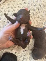 processed/0eec4b90-9997-4348-8b81-82de994aab9e/listing/c3b5bc34-058c-4c72-963b-5e3d2c180d1a/cd4e88ce-9e9c-40e0-b519-ba74864d4868