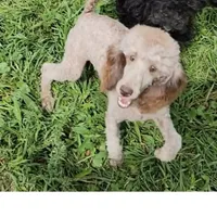 processed/0ef299df-9180-4108-b522-479b51363630/facility/49719c0f-45f5-4430-88fe-ddee4dfbff9e