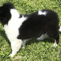 processed/0ef299df-9180-4108-b522-479b51363630/facility/6671dcf8-88c6-41f2-bfe5-79a124fc18dc