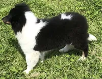 processed/0ef299df-9180-4108-b522-479b51363630/facility/6671dcf8-88c6-41f2-bfe5-79a124fc18dc