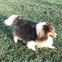 processed/0ef299df-9180-4108-b522-479b51363630/facility/a39ddb4a-aae0-4401-b5b7-922f5dd11619