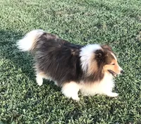 processed/0ef299df-9180-4108-b522-479b51363630/facility/a39ddb4a-aae0-4401-b5b7-922f5dd11619